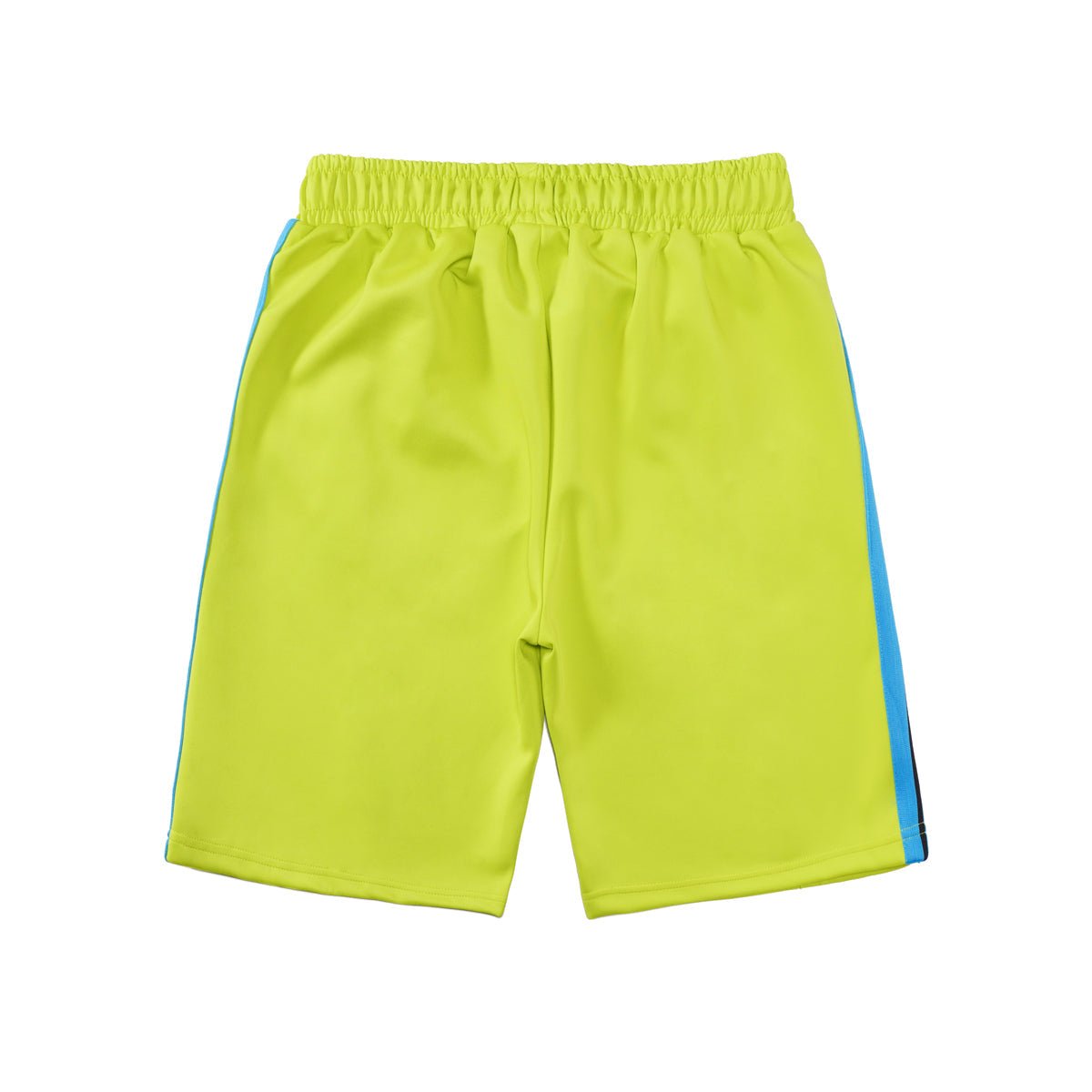 Palm Shorts
